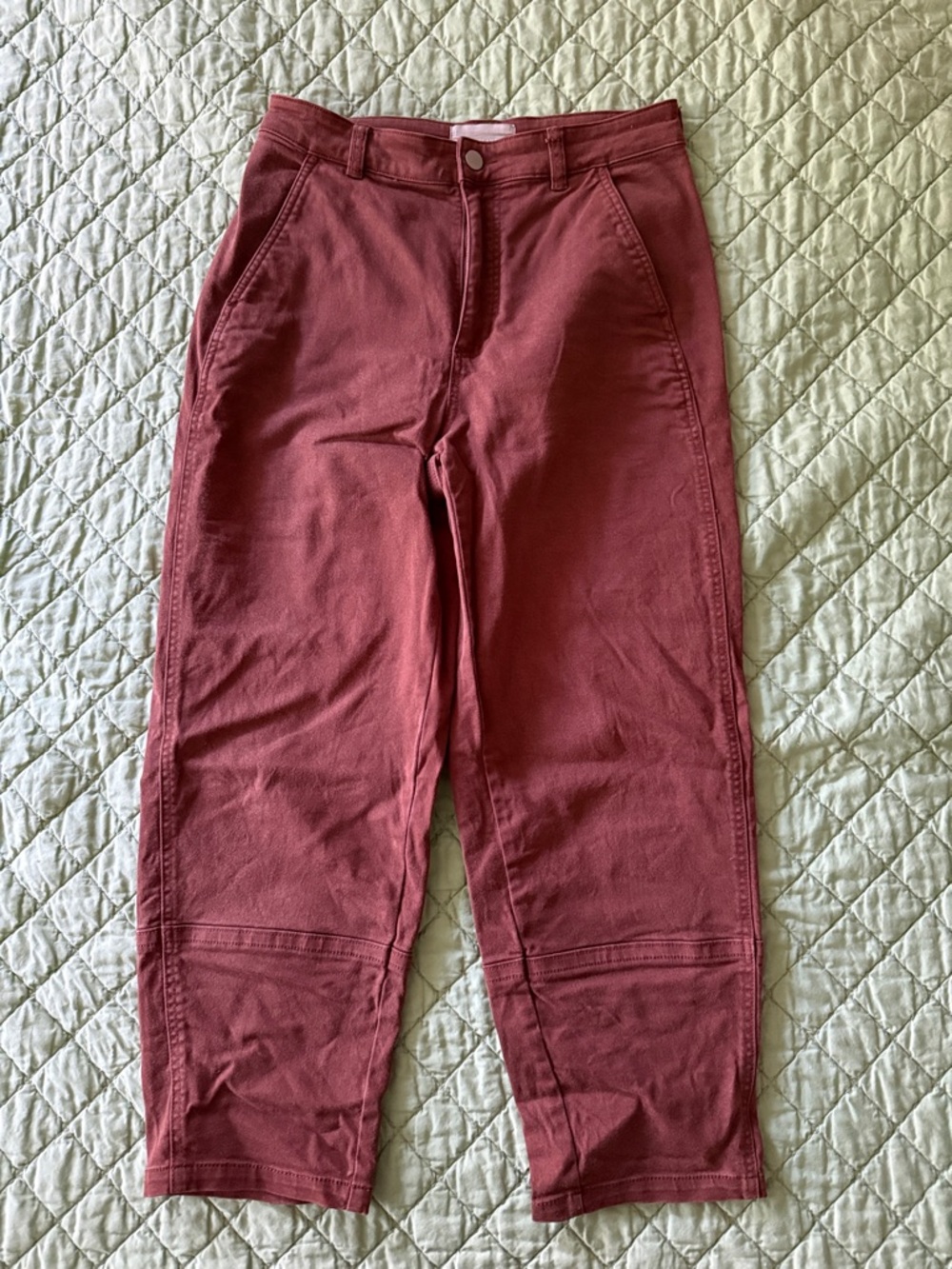 Women’s Everlane Terracotta Pants 8